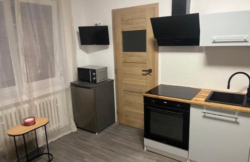 Decin Apartamento | Apartman Riegrova 41