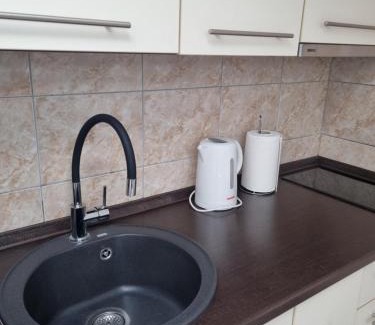 Bijeljina Apartamento | Apartman Savic 2
