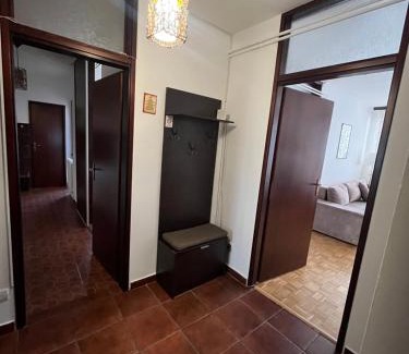 Bela Crkva Apartamento | Apartman Selaković