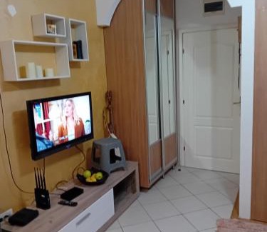 Seoca Apartamento | Apartman,Siv, Prijevor