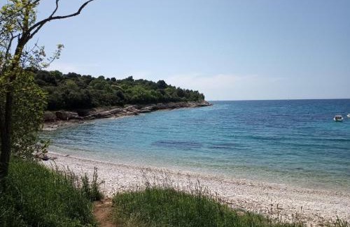 Valdebek Apartamento | Apartman Suzy