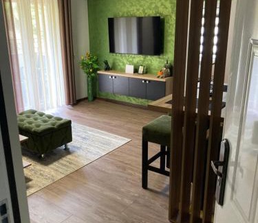 Brdo Apartamento | Apartman Tanja