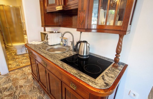 Tomasikovo Apartamento | Apartman Vintage A101