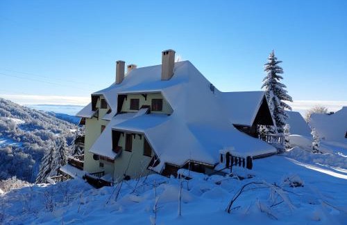 Kopaonik Apartamento | Apartman "ZIMSKA ZVEZDA" Kopaonik