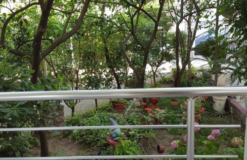 Maini Apartamento | Apartmani Bonik