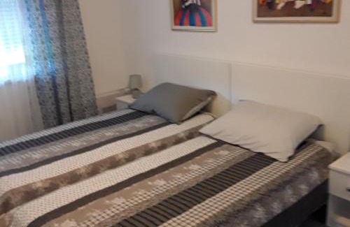 Vantacici Apartamento | Apartmani Irina