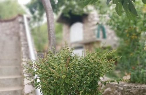 Sibenik Apartamento | Apartmani Kike Šibenik