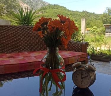 Seoca Apartamento | Apartmani Petkovic