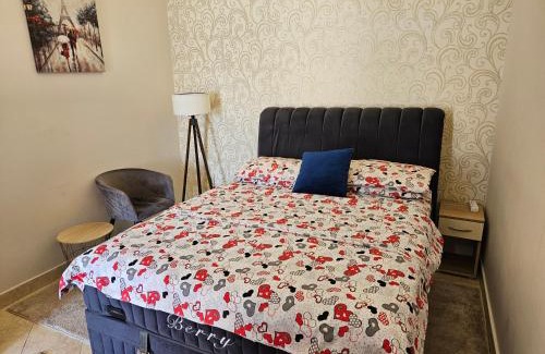 Igalo Apartamento | Apartmani Vlaovic