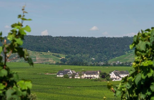 Kowerich Apartamento | Apartamento ∙ 2 habitaciones ∙ 4 huéspedes