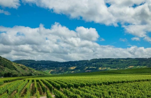 Kowerich Apartamento | Apartamento ∙ 2 habitaciones ∙ 4 huéspedes