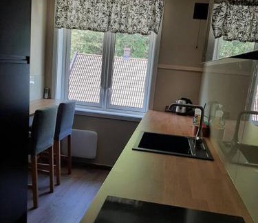 Rjukan Apartamento | Apartment 2 sleeping rooms in Rjukan