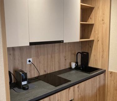 Jahorina Apartamento | Apartment 333 Aparthotel Vučko Jahorina private host
