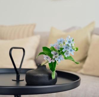 Zirchow Apartamento | Apartment A 8 "Pine Hill Resort"