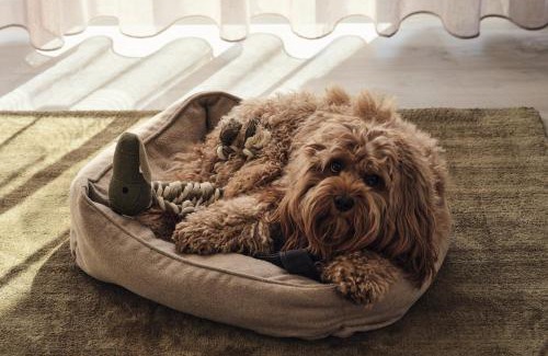 Zirchow Apartamento | Apartment A12 "Pine Hill Resort" - zwei Bäder, Balkon & Nutzung der Gemeinschaftsräume