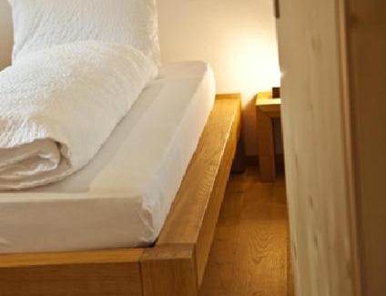 Tavanasa Apartamento | Apartment Alpina