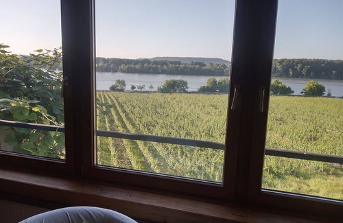 Mainz-Bingen Apartamento | Apartamento 'Alte Villa Rheinblick' con terraza privada y Wi-Fi