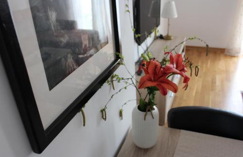 Niksic Apartamento | Apartment Anagastum