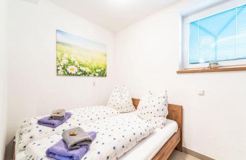 Hollersbach im Pinzgau Apartamento | Apartment Evi by Interhome