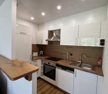 Obertraun Apartamento | Apartment Elisabeth