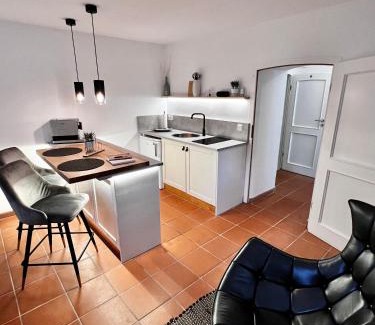 Bad Elster Apartamento | Apartment Elysium am Rosengarten