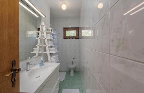 Drage Apartamento | Apartment Fijan (A4+1)