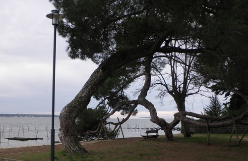Le Canon Apartamento | Piso / apartamento - Lege-cap-ferret