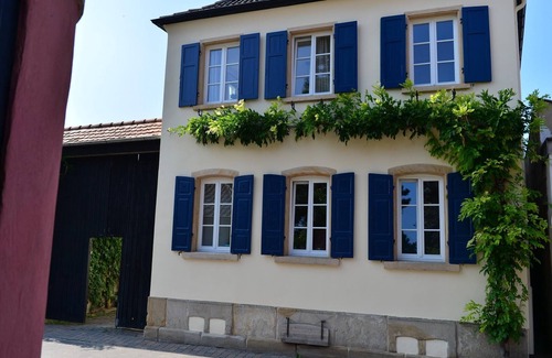 Weisenheim am Sand Apartamento | Apartamento-Baño privado con ducha-Terraza