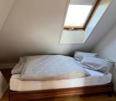 Weingarten Apartamento | Apartment im Welfenpalais