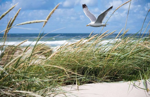Albertstrand Apartamento | Apartamento en Knokke-Heist cerca de Playa