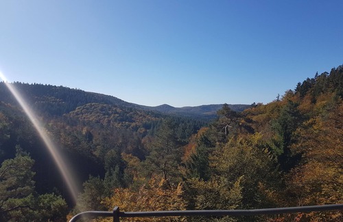 Schontal Apartamento | Apartamento en el entorno idílico de la reserva de la biosfera Bosque del Palatinado