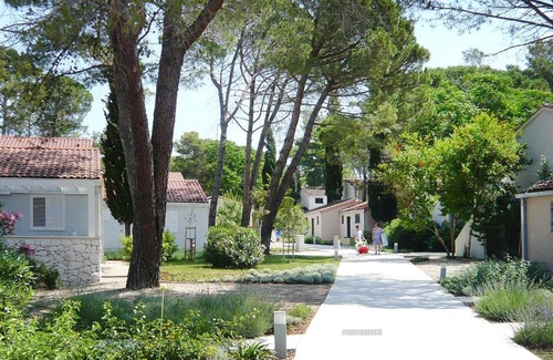 Zaton Apartamento | Apartment in Zaton-Nin not far from the sea