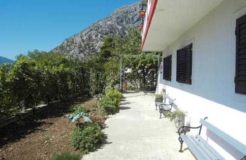 Orahovac Apartamento | Apartment Ivana