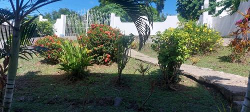 Rodney Bay Apartamento | Apartment Joanna