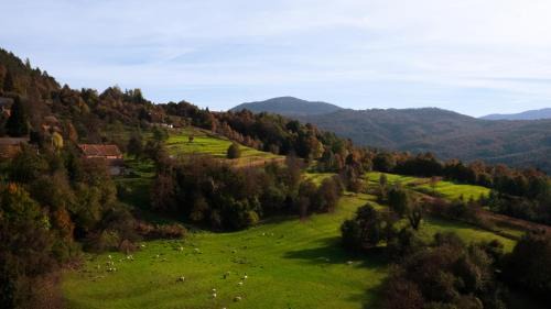 Brod Moravice Apartamento | Apartment "Johana"