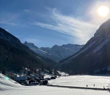 Taesch Apartamento | Apartment Klein Matterhorn - Haus Miranda