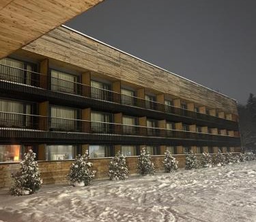 Bakuriani Apartamento | Apartment Kokhta-Mitarbi Resort 2, 3, 14
