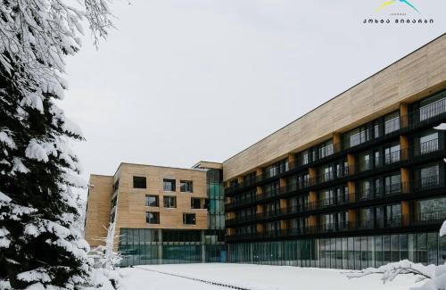 Bakuriani Apartamento | Apartment Kokhta-Mitarbi Resort 2, 3, 14