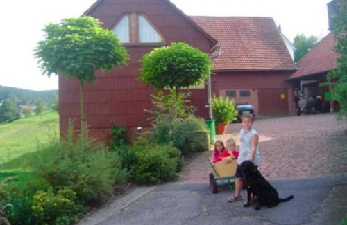 Guttersbach Apartamento | Apartamento Lara - Ferienhof Christmann