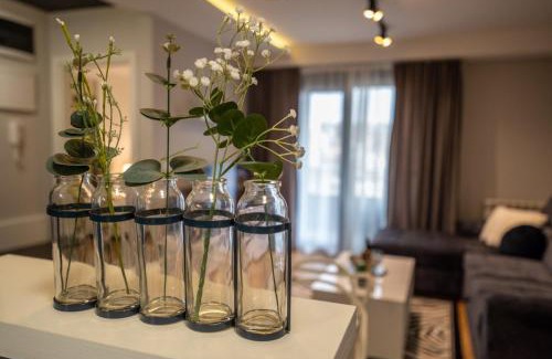 Kraljevo Apartamento | Apartment Leona