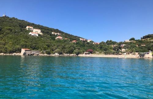 Molunat Apartamento | Apartment Levanat