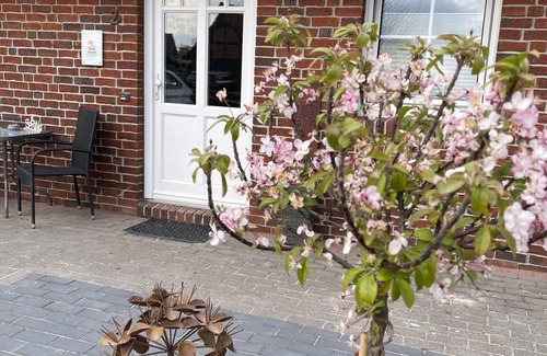 Hagenburg Apartamento | Apartamento poco tiempo fuera