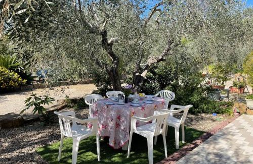 Poggi Apartamento | Apartment Olivo - PGI128 by Interhome