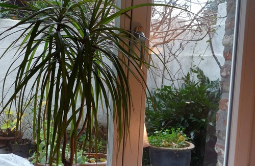 Kaiserswerth Apartamento | Apartamento en Mühlenturm