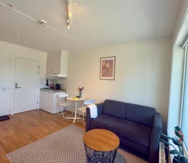 Sinsen Apartamento | Apartment perfect for work or vacation - kitchen, full bathroom, balcony