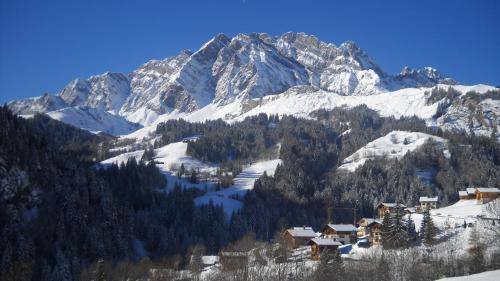 La Giettaz Apartamento | Apartment Residence Les Alpages