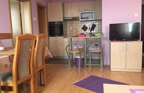 Lisina Apartamento | Apartment SAMS LUX with the best view on mountain Kopaonik !