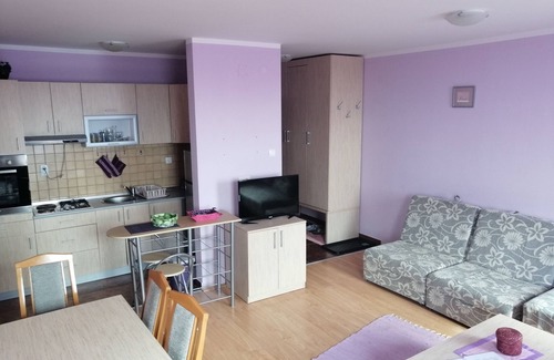 Lisina Apartamento | Apartment SAMS LUX with the best view on mountain Kopaonik !