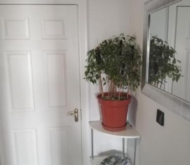 Carrick-on-Shannon Apartamento | Apartment Sleeps 2 with Free Parking