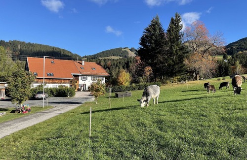 Jungholz Apartamento | Apartamento 'Sorgschrofen' con vistas a la montaña, terraza compartida y Wi-Fi